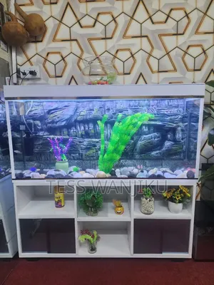 Aquarium Tank