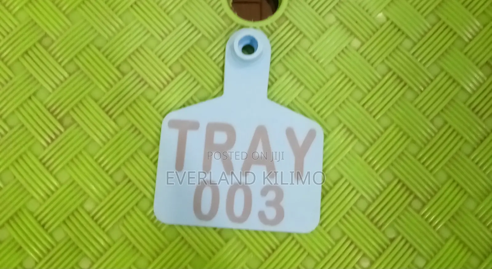 Branded Medium Cows Identification Tags