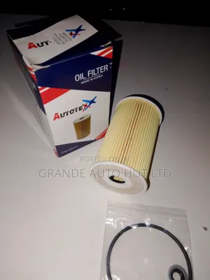 Oil Filter Hyundai Ix35 (Autotex Brand)