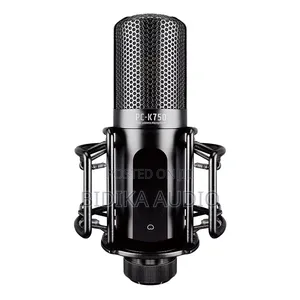 Takstar Pc- Professional Recording Microphone