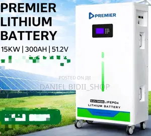 Lifepo4 15kw 300ah 51.2v Lithium Battery Premier