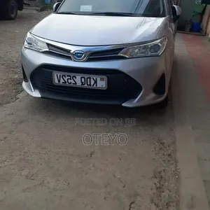 Car Rental