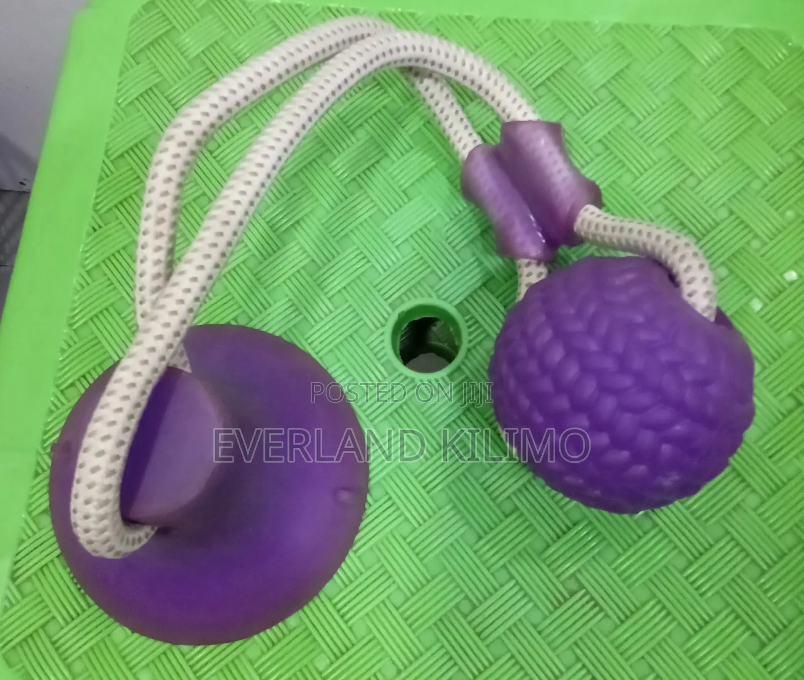 Spot Press Pull Interactive Dog Toy, Suction Cup