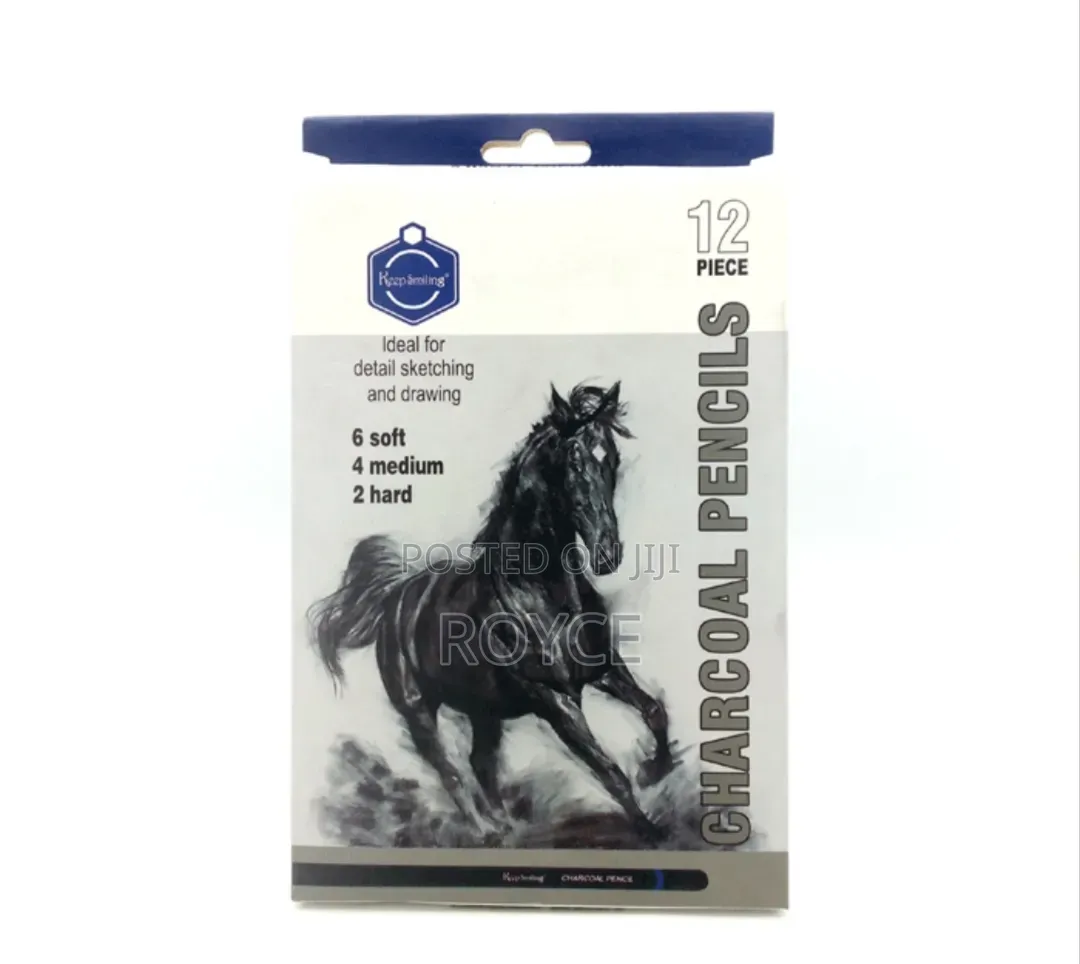 12pcs Charcoal Pencils