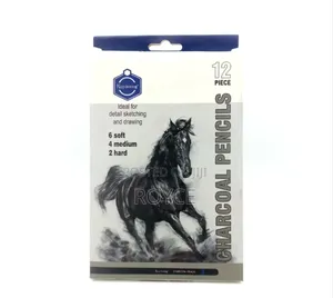 12pcs Charcoal Pencils
