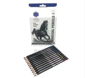12pcs Charcoal Pencils