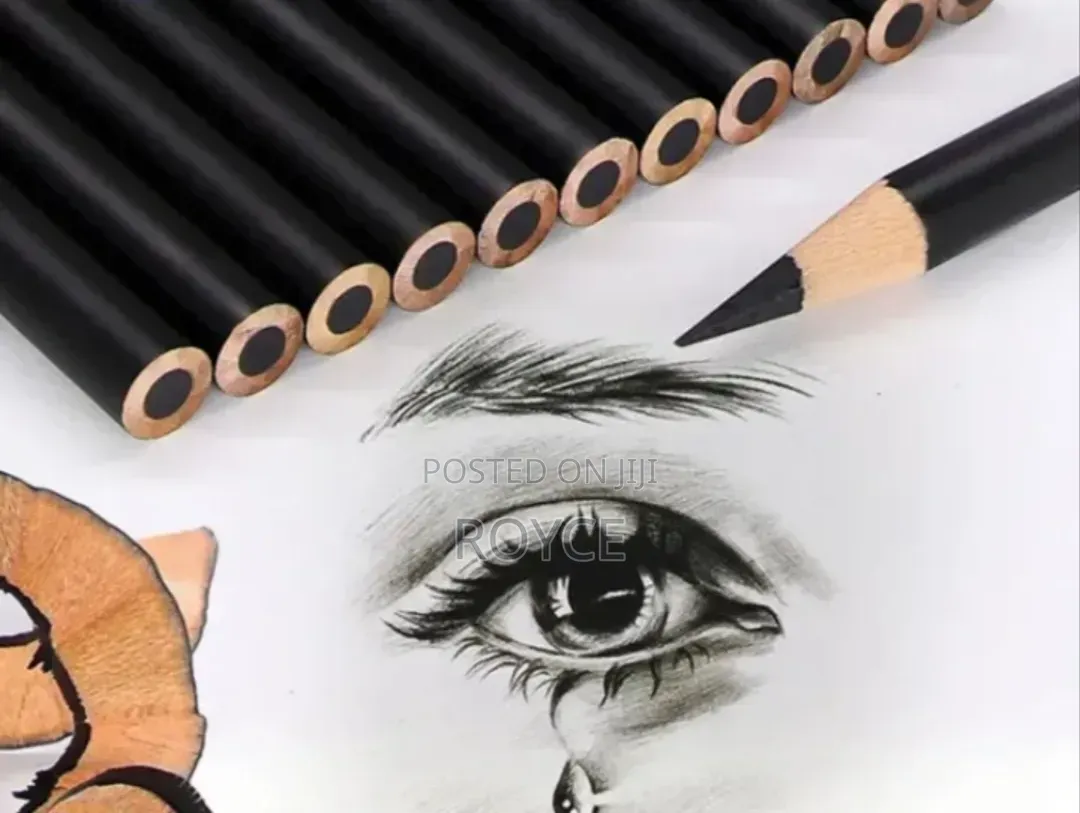 12pcs Charcoal Pencils
