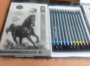 12pcs Charcoal Pencils