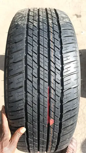 265/55r19 Dunlop Tyre