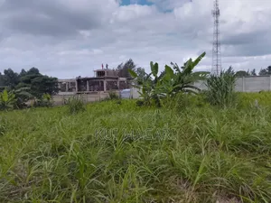 Plot On Sale In Banana Hill Kiambu