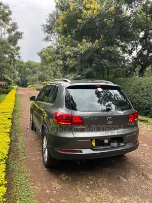 Volkswagen Tiguan 2014 Gray
