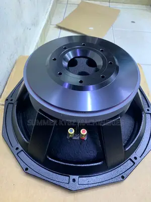 Pd 1880 Naked Bass Speaker