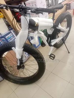 Fat Tyre Professional Bike