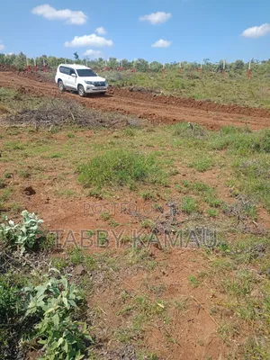 Nachu Plots at