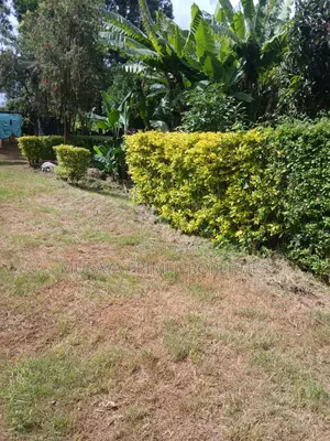 Prime Quarter Acre for Sale – Kerarapon Drive