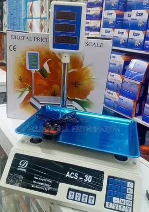 Scale,Commercial 40kg Bench Scale With Elevated Display Arm