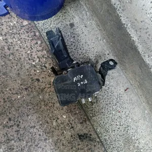 Alto 2018 New Model Abs Pump.