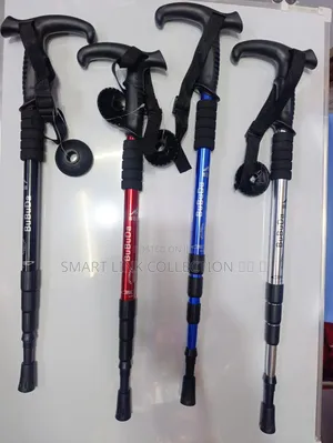 Hiking Sticks