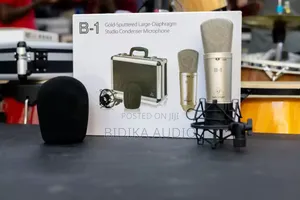 Behringer B-1 Condenser Microphone