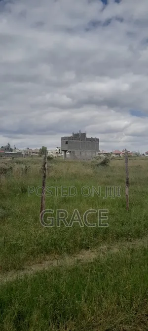 Prime Plots in Diaspora Gardens in Isinya