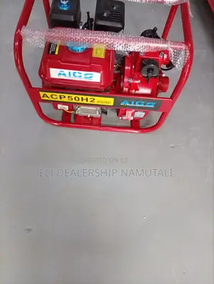 Double Outlet Water Pump High Pressure 100m Aico