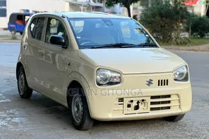 Suzuki Alto 2019 Brown
