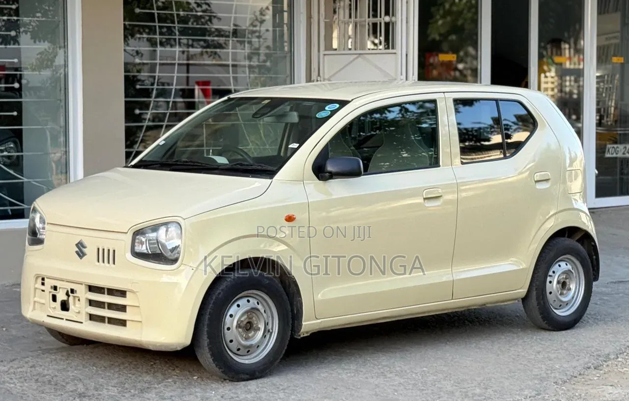 Suzuki Alto 2019 Brown