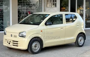 Suzuki Alto 2019 Brown