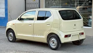Suzuki Alto 2019 Brown
