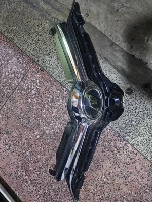 Auris 2018 Grill
