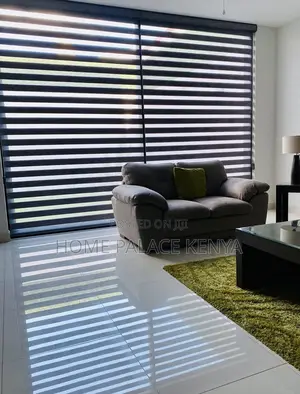 Window Blinds: Light Filtering Day and Night Roller Shades