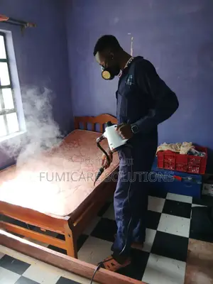 Steaming And Fumigation For Bedbugs