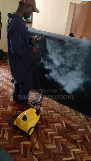 Steaming And Fumigation For Bedbugs