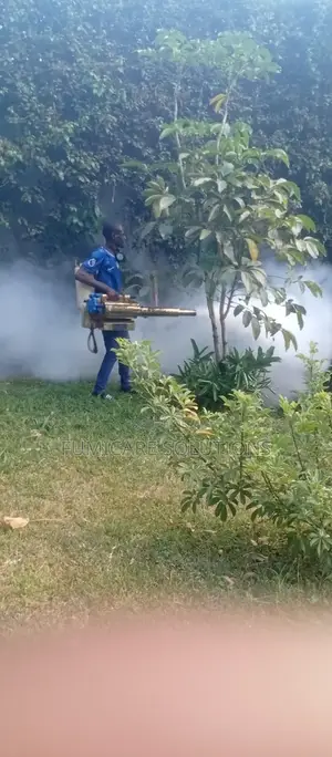 Steaming And Fumigation For Bedbugs