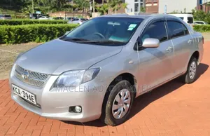 Toyota Axio 2009 Silver