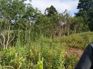 Plot For Sale