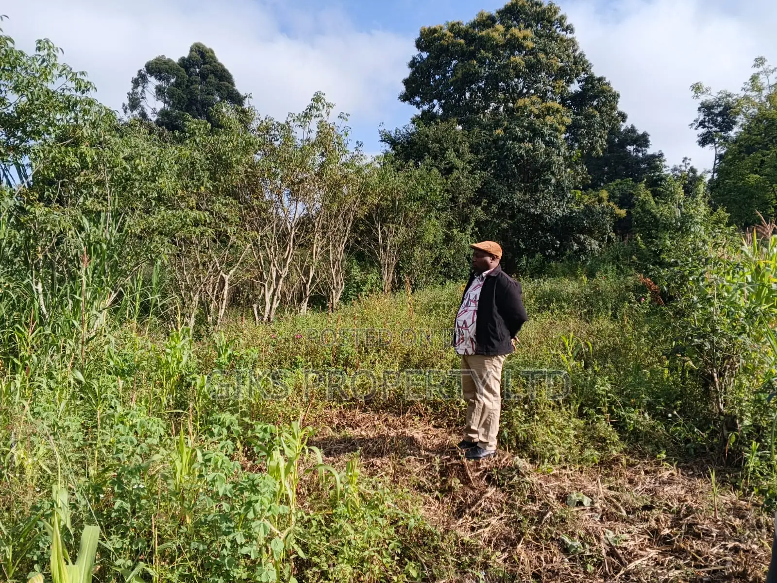 Plot For Sale