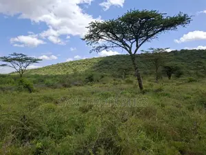 31 Acres of Prime Virgin Land for Sale in Saikeri