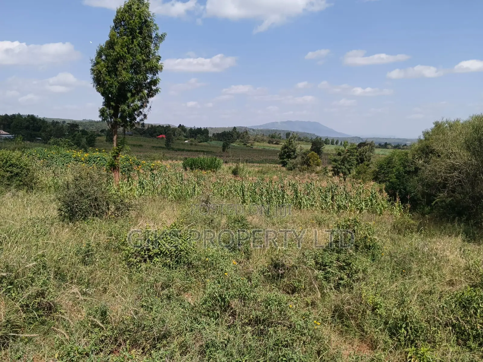 Plot for Sale