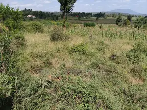 Plot for Sale
