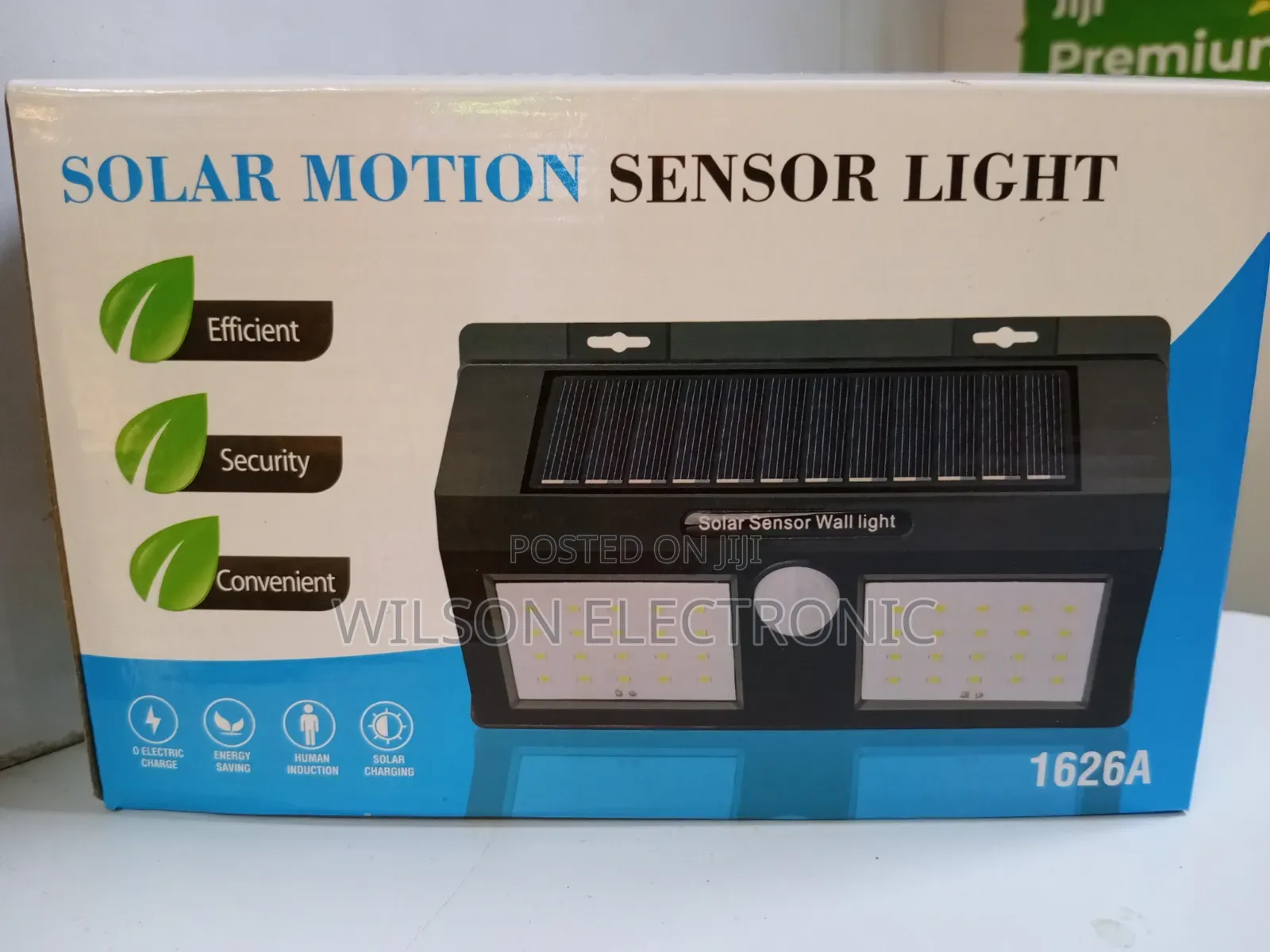 Solar Double Wall Motion Sensor Light