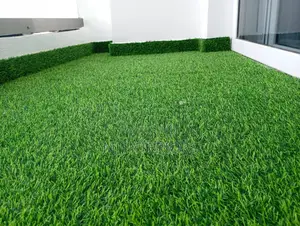Artificial Grass Carpet for Premium Outdoor Home Makeovers