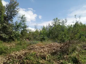 Land for Sale.6 Acres