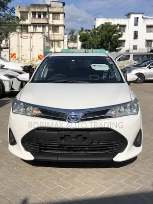 Toyota Axio 2019 White