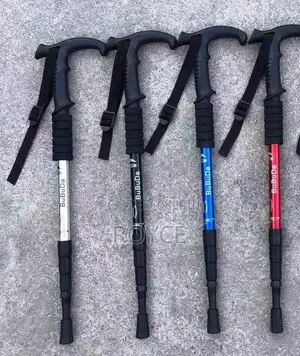 Hiking Stick