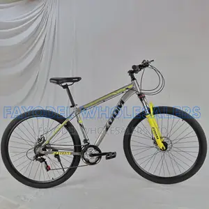 Zoom Size 29 Mountain Bike-Grey