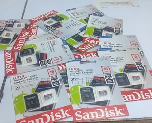 Sandisk Memory Card_dav