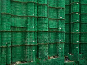 Quality Construction Net 50m Roll