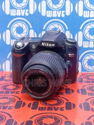 Nikon D80 Digital Camera-Works Perfect