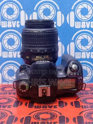 Nikon D80 Digital Camera-Works Perfect